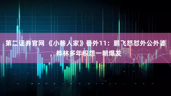 第二证券官网 《小巷人家》番外11：鹏飞怒怼外公外婆，桦林多年积怨一朝爆发