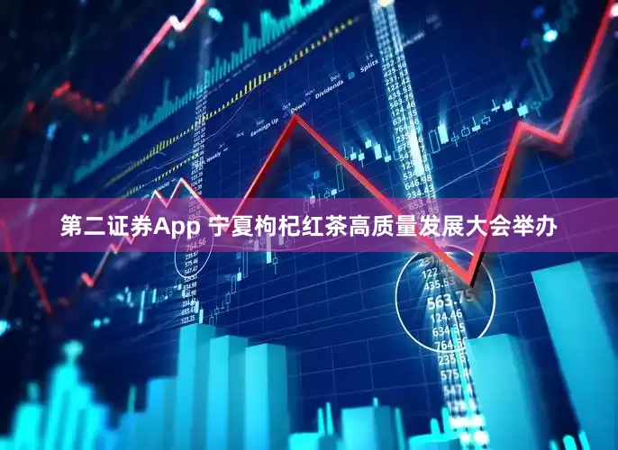 第二证券App 宁夏枸杞红茶高质量发展大会举办