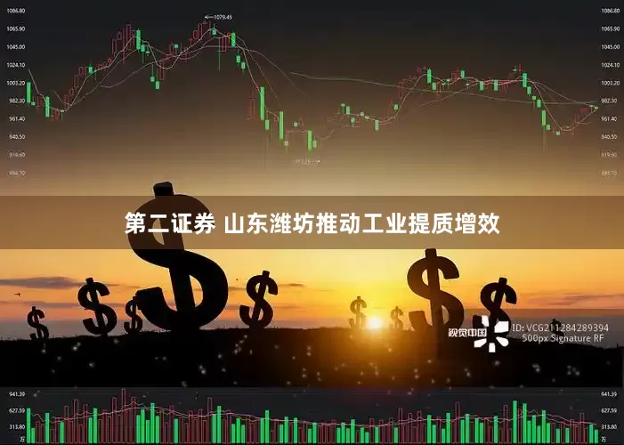 第二证券 山东潍坊推动工业提质增效