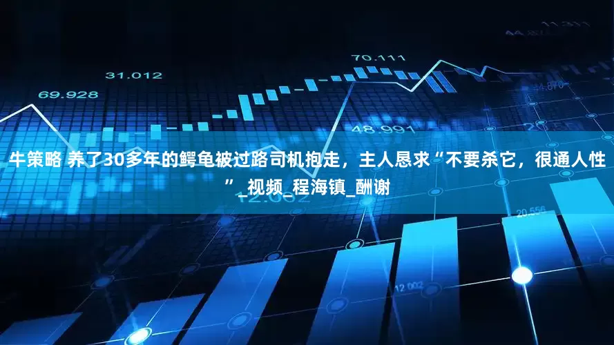 牛策略 养了30多年的鳄龟被过路司机抱走，主人恳求“不要杀它，很通人性”_视频_程海镇_酬谢